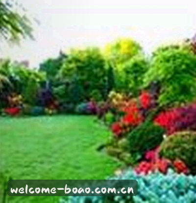 吴芳